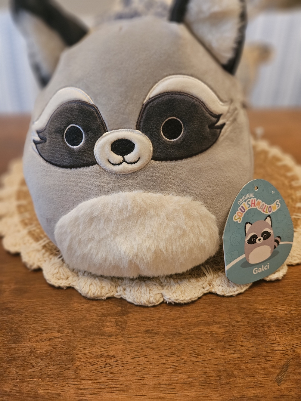 NWT Squishmallows Galci Raccoon Plush - Gray Kids Accessory